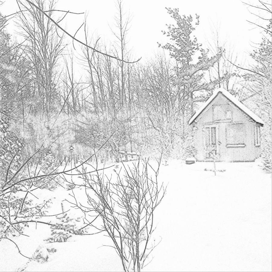 The Retreat House Blue Mountain Hotel Blue Mountains Kültér fotó